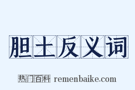 胆土反义词是什么意思的图片